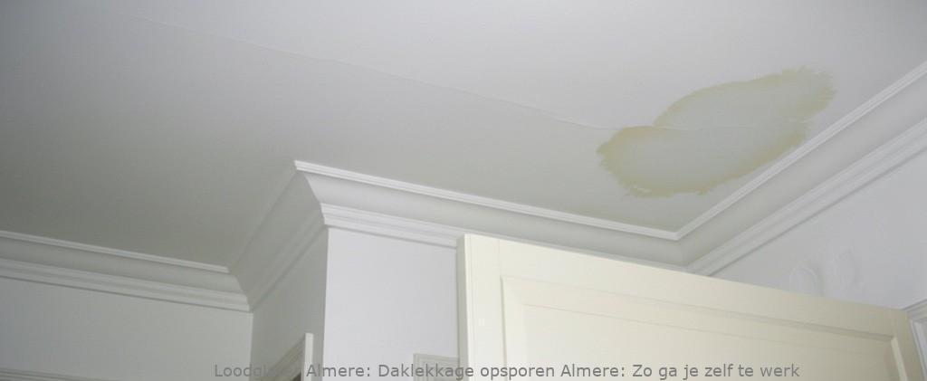 Daklekkage Opsporen Almere