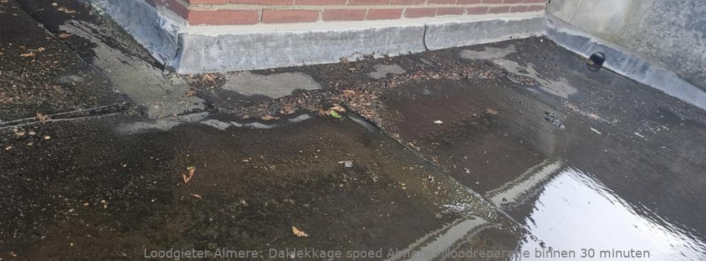 Daklekkage Spoed Almere