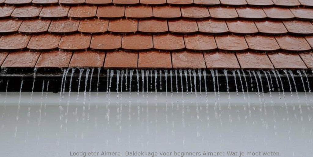 Daklekkage Voor Beginners Almere