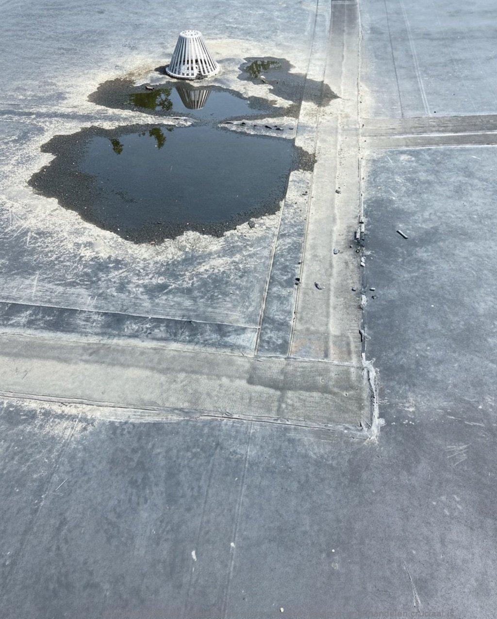 Daklekkage Winter Almere