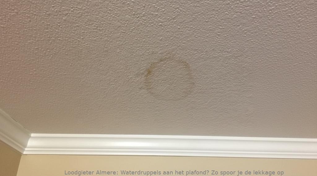 Lekkage Plafond Almere