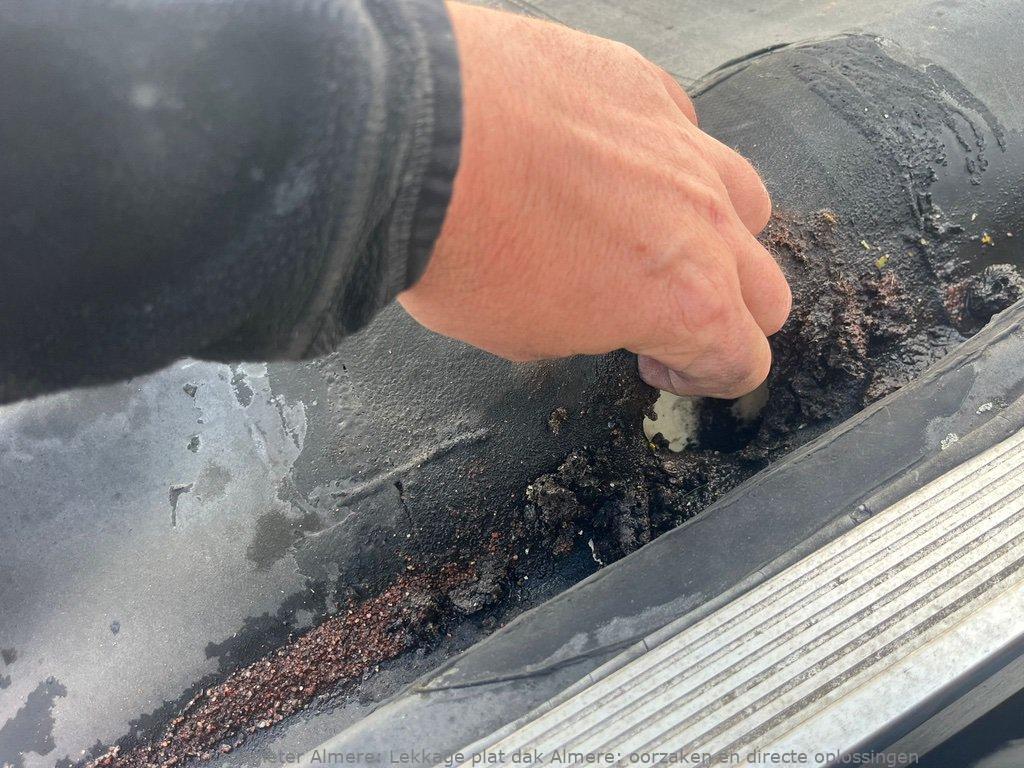 Lekkage Plat Dak Almere