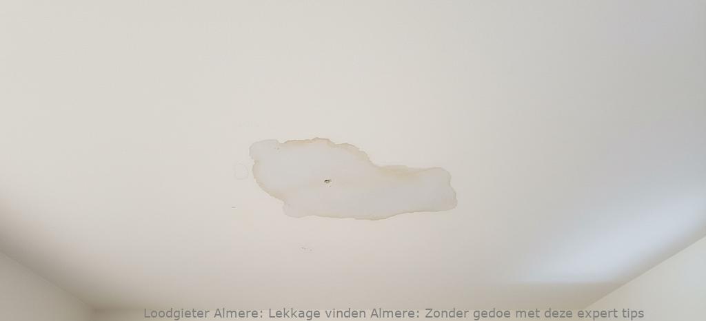 Lekkage Vinden Almere