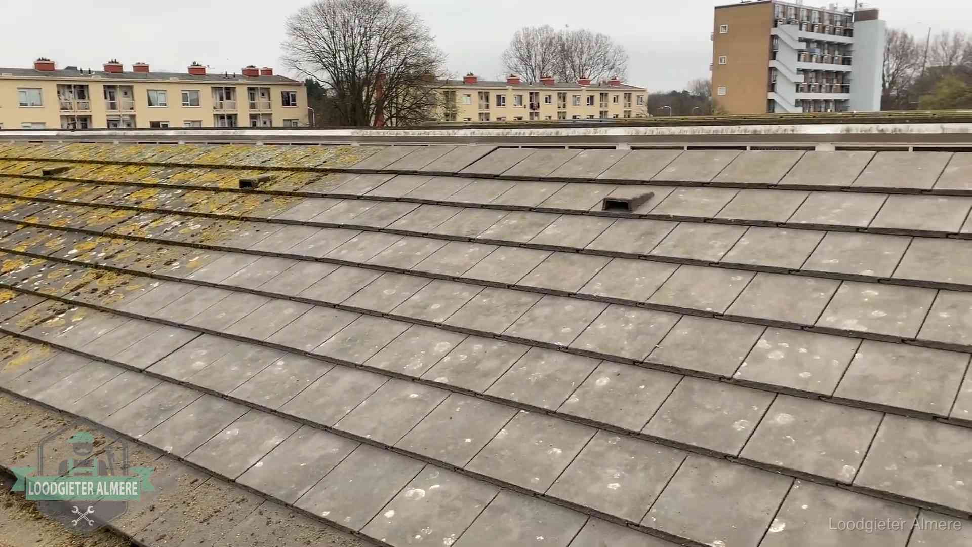 Dakpannen op een schuin dak in Almere Schuin dak met betonpannen vol mos in Almere, een risico op lekkage bij de pannen