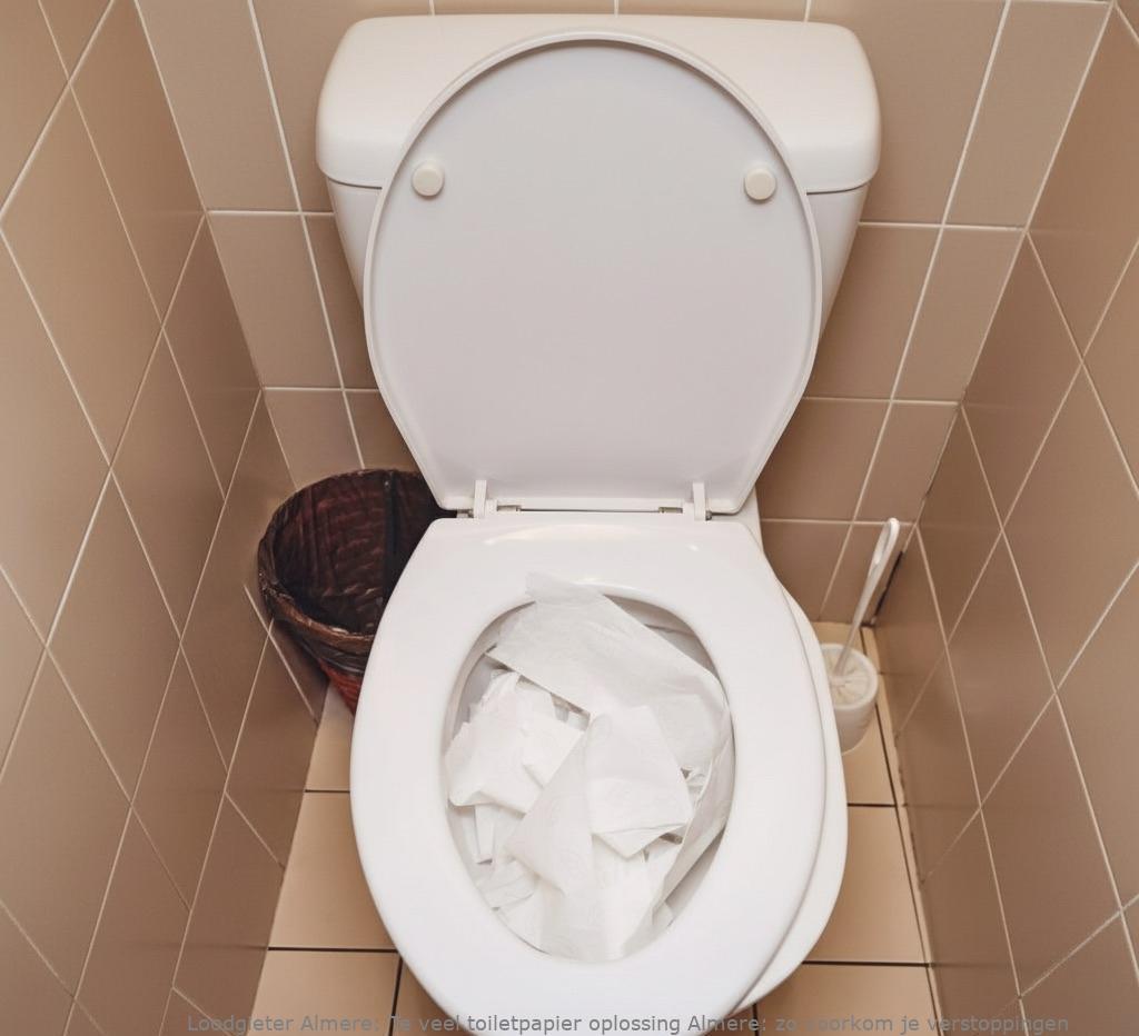 Te Veel Toiletpapier Oplossing Almere